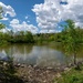 Pond in Ann Arbor by mdaskin