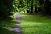 20th May 2022 - Backwoods Path
