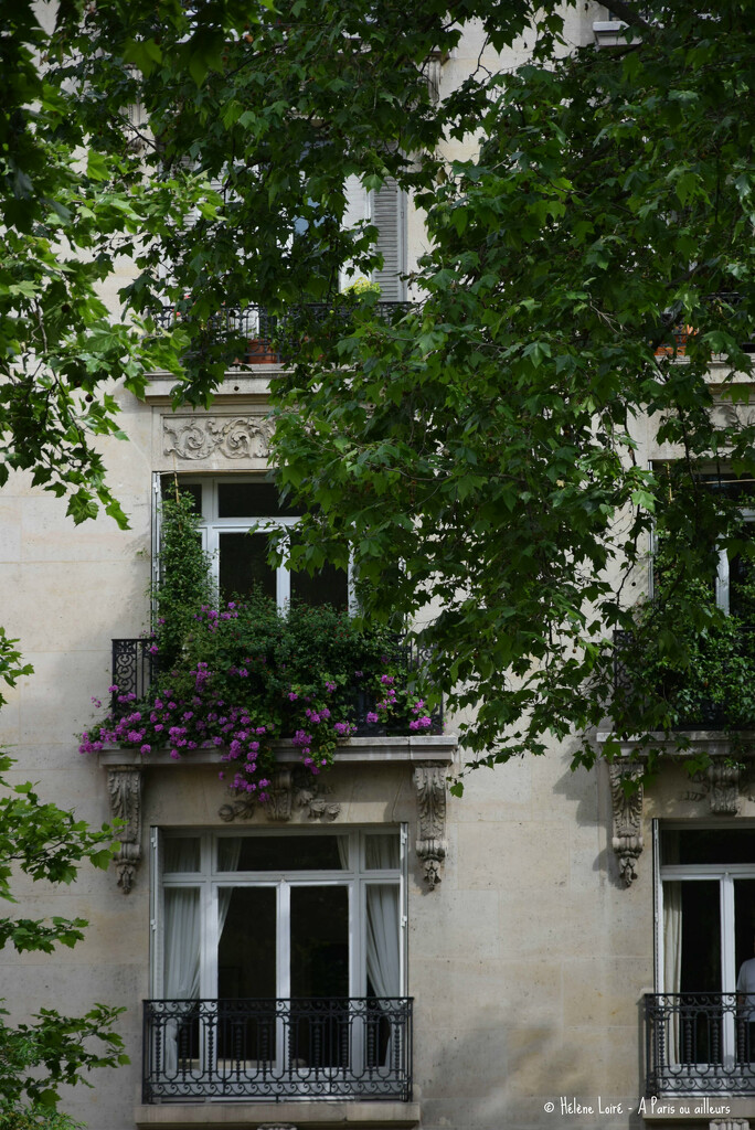 green in Paris  by parisouailleurs