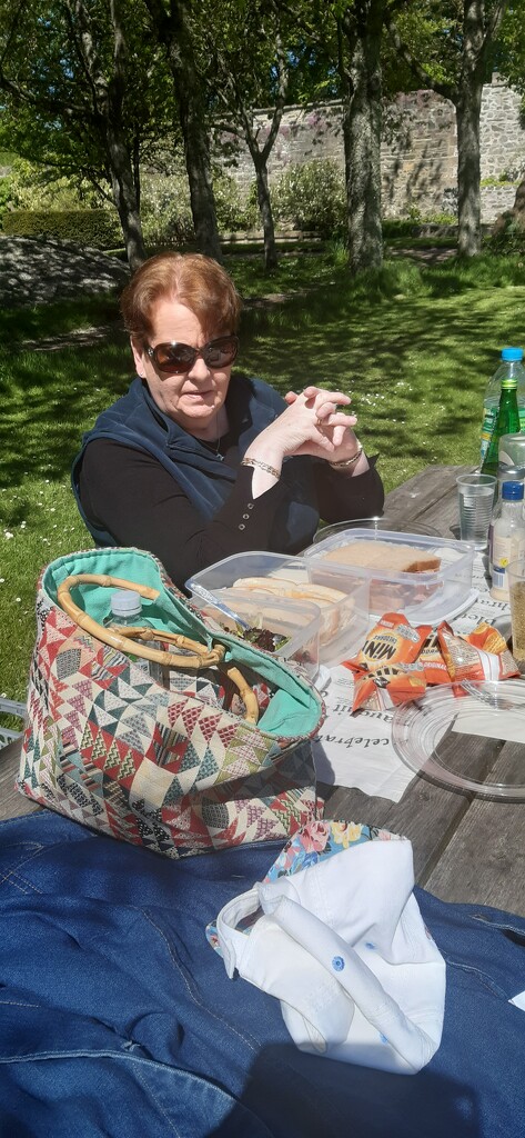 Allison's picnic by sarah19