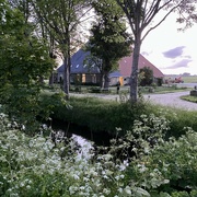 21st May 2022 - Enjoying the Frisian countryside on my evening walk 