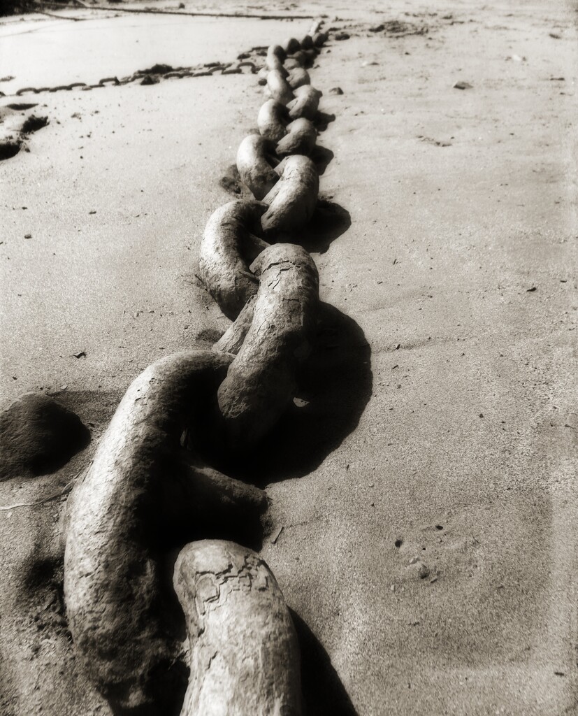 The Chain by ajisaac