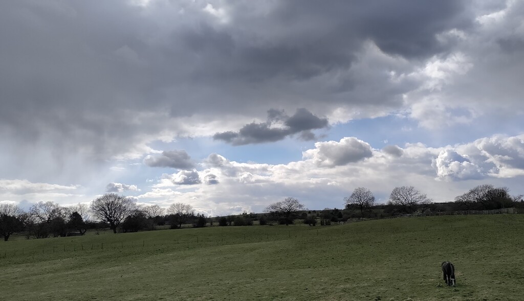 The sky on a walk today by roachling