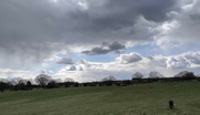 1st Apr 2022 - The sky on a walk today