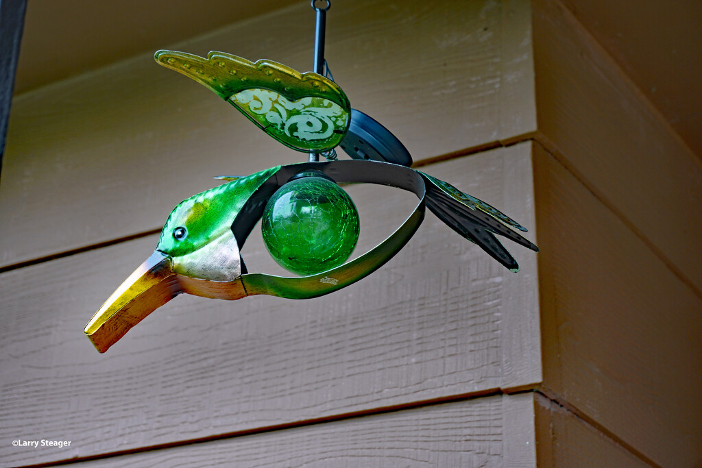 Porch light hummingbird by larrysphotos