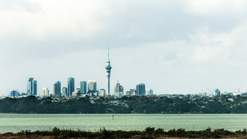 Auckland City by nickspicsnz