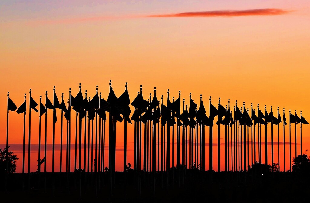 Flags at Sunset by lynnz