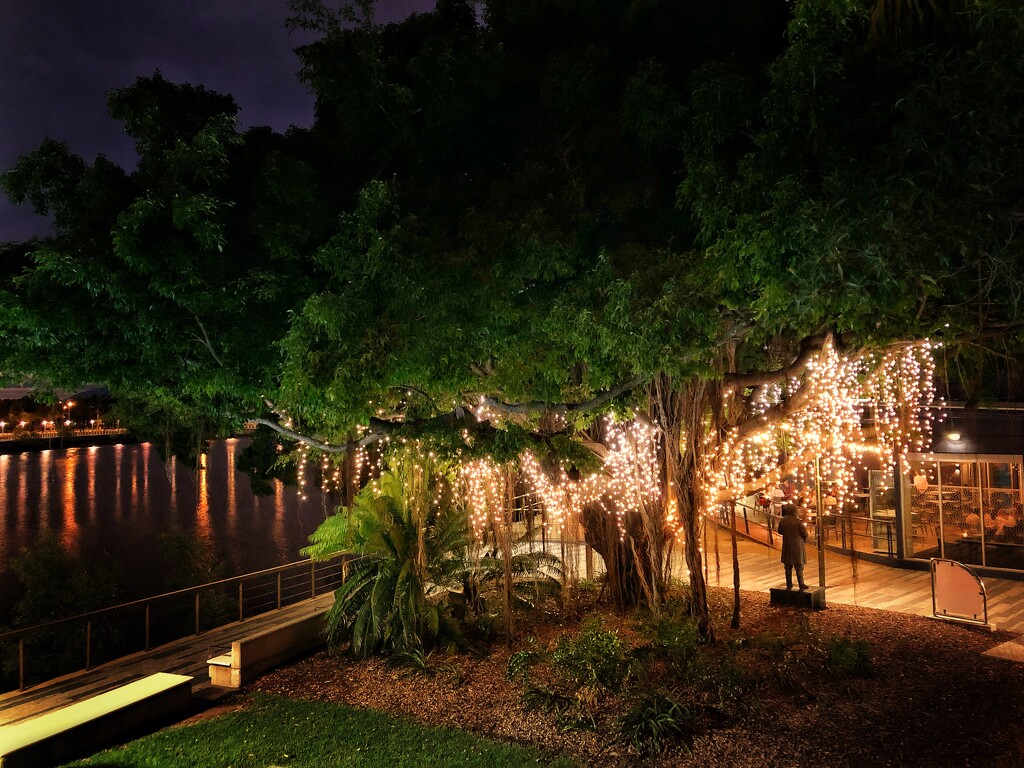 Lights by the river, Townsville by pusspup