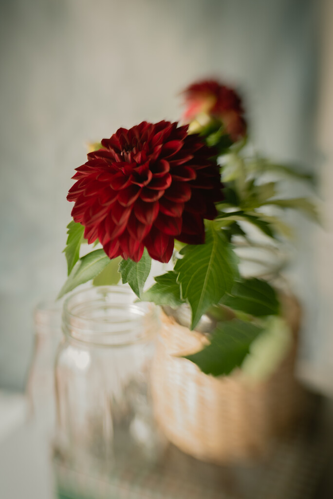 lensbaby still life by jackies365