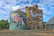 24th May 2022 - Tungamah silo art