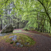 A rock and lots of trees :-) by helstor365