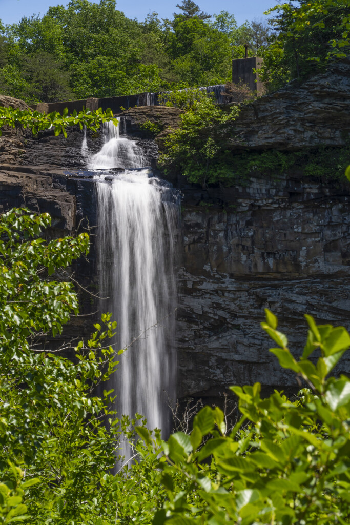 DeSoto Falls lower by k9photo