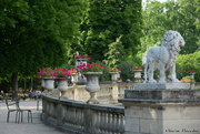 24th May 2022 - an afternoon in the Luxembourg garden