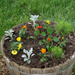 Flower barrel planted
