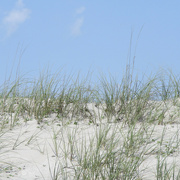 18th May 2022 - Half dune