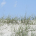 Half dune