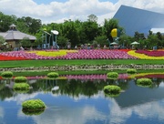 24th May 2022 - Epcot flower festival reflections