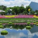 Epcot flower festival reflections by anitaw