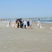Beach wedding by homeschoolmom