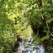 Willingham Stream by phil_sandford