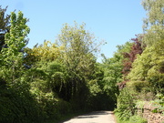 14th May 2022 - Strelly Village, a lane