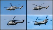 25th May 2022 - Jubilee Helicopters 