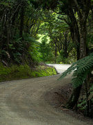 24th May 2022 - Rural NZ roads #1