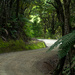 Rural NZ roads #1 by christinav