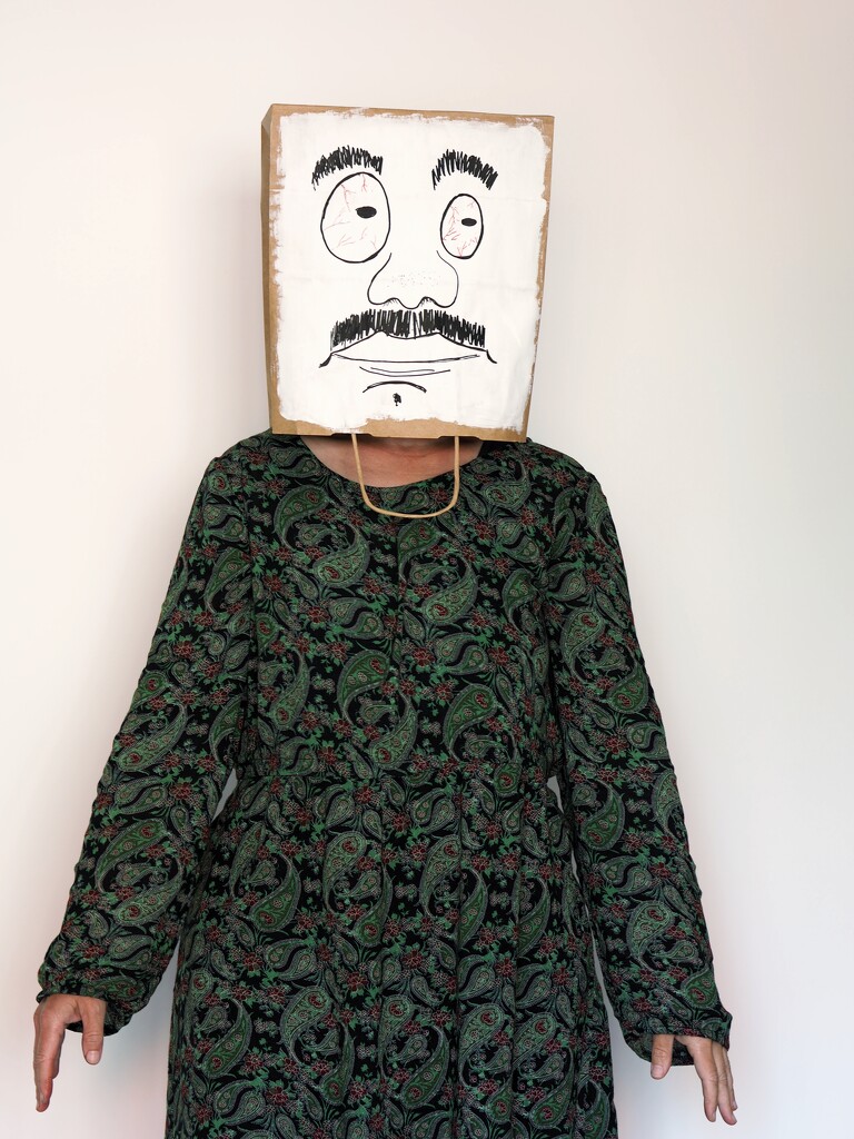 Paper bag mask by fiveplustwo