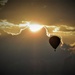 Early morning snap of a hot air balloon by anitaw