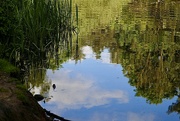 26th May 2022 - Willingham Reflections 