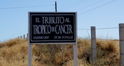 6th May 2022 - The Tropic of Cancer