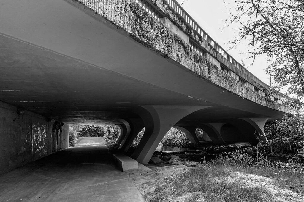 Under the Bridge Walk by tina_mac