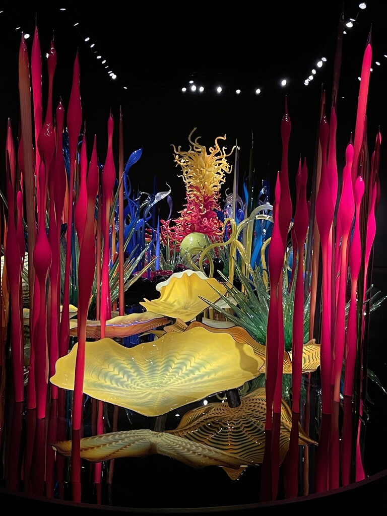 Chihuly Glass. Seattle by dianefalconer