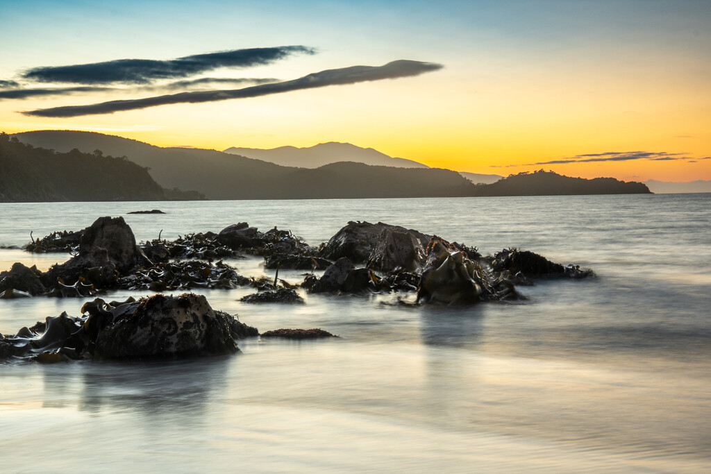sunset and kelp by yorkshirekiwi