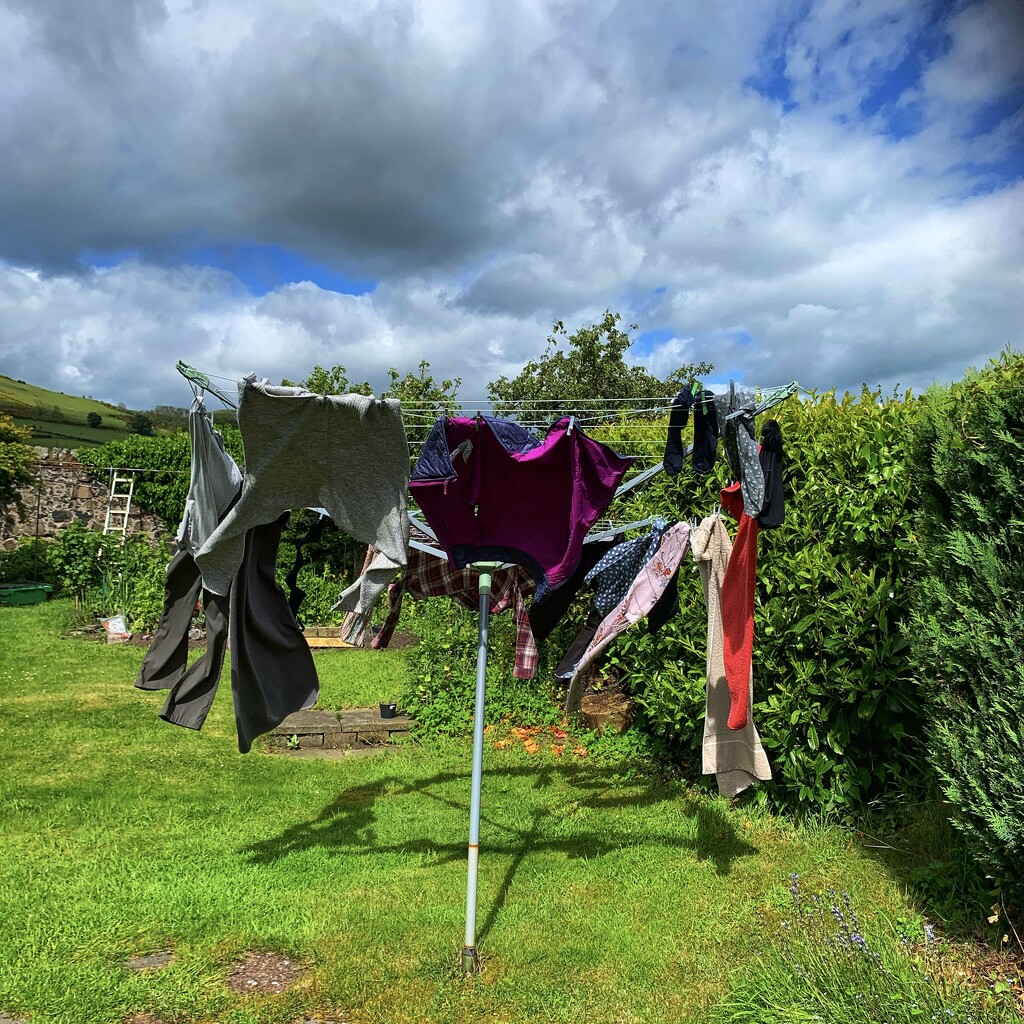 A good drying day! by billdavidson
