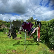 27th May 2022 - A good drying day!