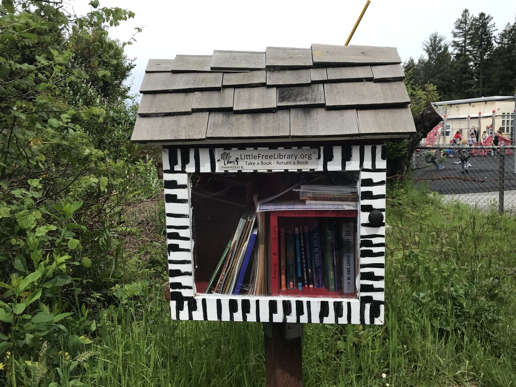 School little free library by pandorasecho