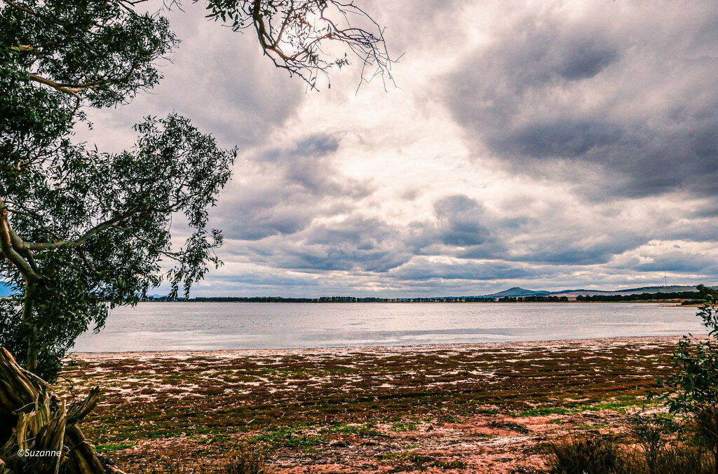 Lake Buninjon, near Willaura, western Victoria by ankers70
