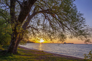 27th May 2022 - Lakeside Park Sunrise