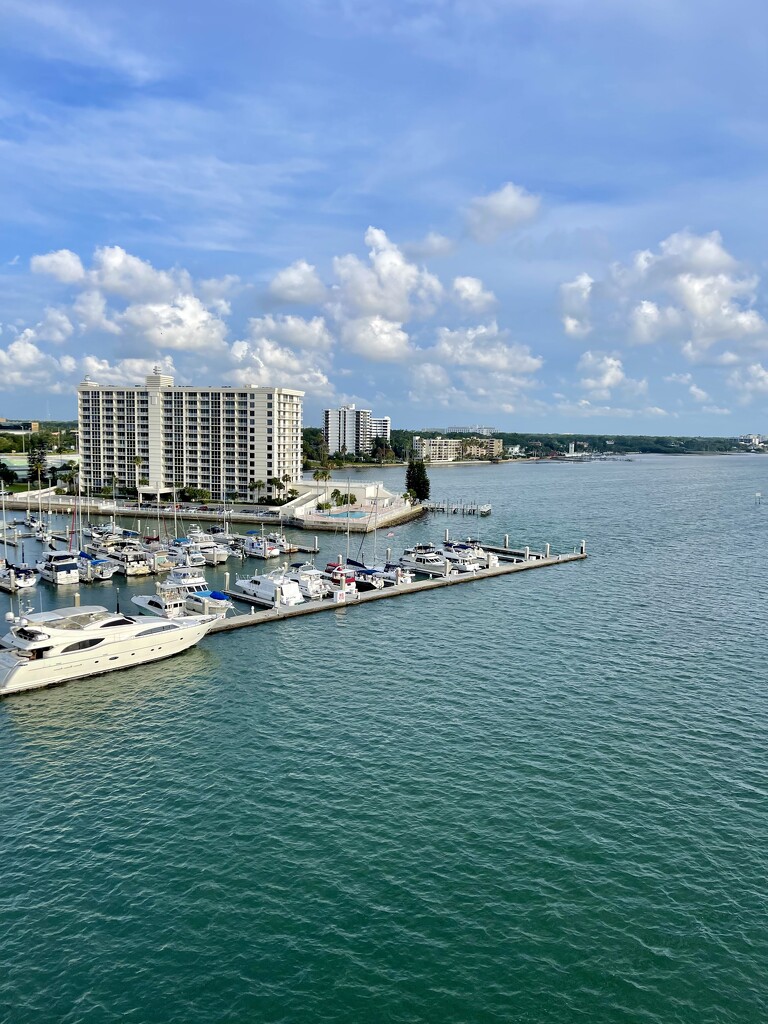 Clearwater, FL USA  by ctclady