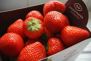 28th May 2022 - Belgian strawberries