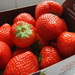 Belgian strawberries by quietpurplehaze