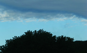 28th May 2022 - Trees and Clouds and Sky