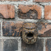The old ornament on the wall by haskar