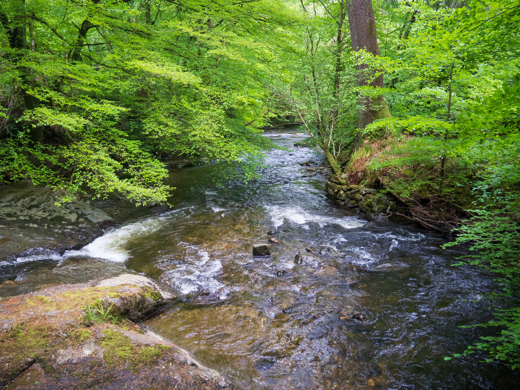 Highland stream by josiegilbert