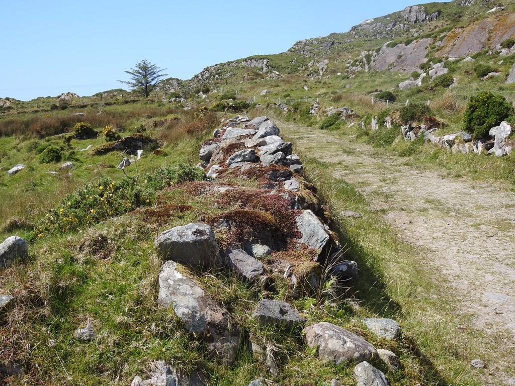 Walking The Kerry Way by susiemc