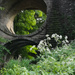 Circular Arch by sanderling
