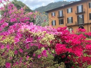 28th May 2022 - The Colours of Como 