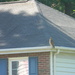 Hawk Sitting on Neighbors' Roof by sfeldphotos